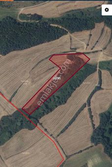 Vizyonlifeden Bu Ayın Efsane Kaçmaz Edirne Gazimehmette Tarla Uygun Fiyata