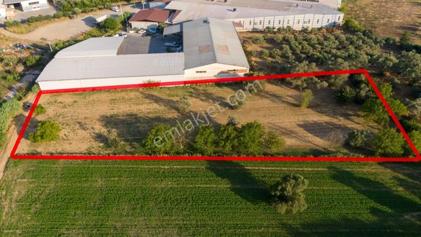 Bozyurt Mahallesinde Satılık 7 Dönüm Bahçe