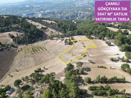 🦋lobby Fortis'ten Satılık Çameli Gökçeyaka'da 5047 M² Yatırımlık Tarla🦋
