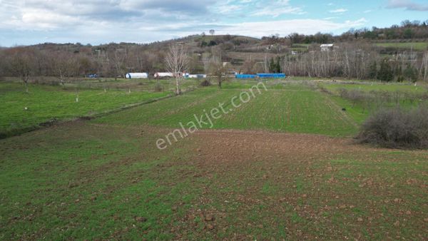 Kocaeli Karamürsel Yalakdere Satılık 1951 M2 Tarla
