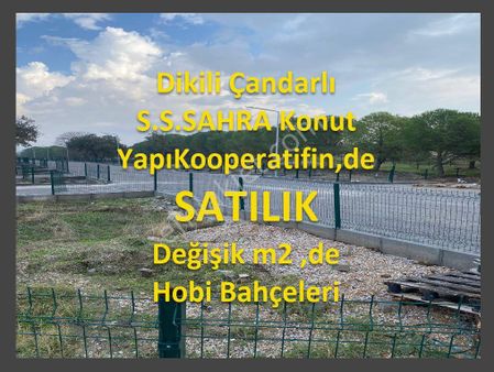 Dikili Çanadarlı S.s.sahra Kooperatifin,de Satılık Hobi Bahçeleri