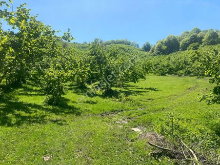 Hatun Gayrimenkul'den Sakarya Esenler Kayalarreşitbey'de 6.873.21 M