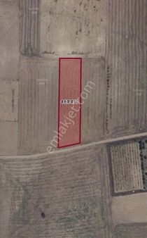 İki Gayrimenkul Danışmanlıkdan Yusuflar Mahallesinde Satılık 2842 M2 Bağ/bahçe