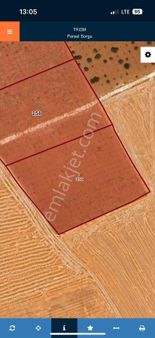 Çömlekçide Satılık Fıstıklık