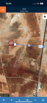 Satılık Fıstıklık