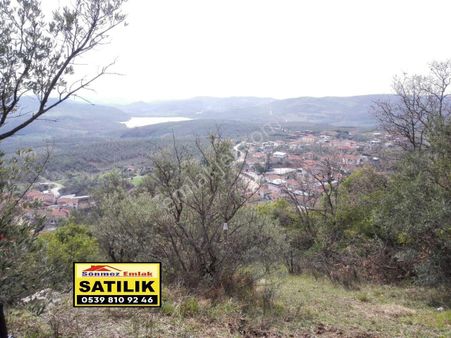 Bursa Mudanya Kaymakoba,da Acil Satılık Köyeyakın 673m2 Zeytinlik