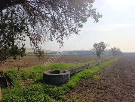 Aliağa Helvacı Fatih Mah. Satılık Tarımsal Depo İmarlı Arazi