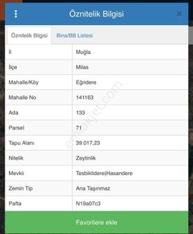 Milas Eğridere’de Satılık Bakımlı Zeytinlik