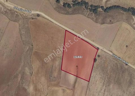 Satılık Tarla Sevinçli Köyde Aksaray’a 4 Km Uzaklıkta