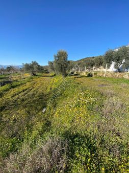 Uzunçam Köyünde İmarlı Fırsat Arsa