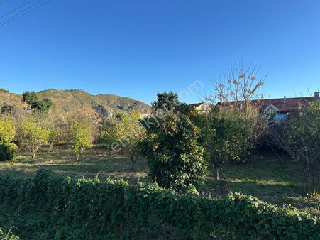 Ortaca Fevziye De 530 M2 İmarlı Arsa Satılık