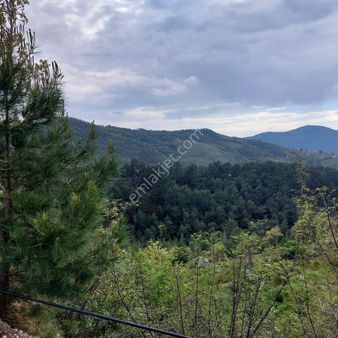 Satılık Alanya Fakırcalı 1.455 M2 Tarla