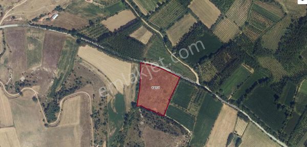 Kastamonu Sarıömer Köyünde Satılık Hisse