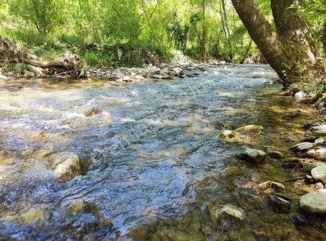 Satılık Alanya Sapadere 2.130 M2