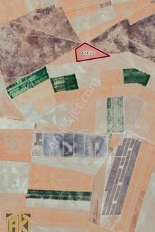 Ankara Polatlı Beylikköprü Mahallesi'nde Satılık Tarla