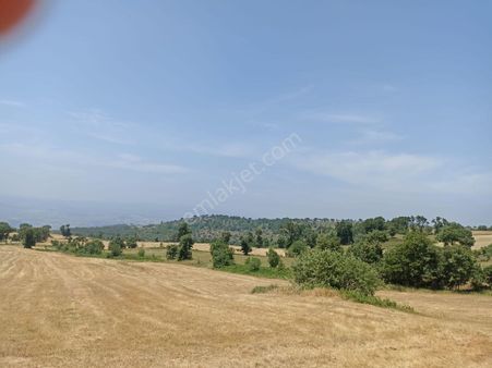 Bilecik Osmaneli Boyunkaya Köyü Ssatıık Tarla