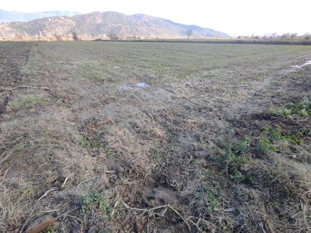 ❗❗❗ortak Emlak’tan❗❗❗ Bozdoğan Kavaklı Mahallesinde Tarla