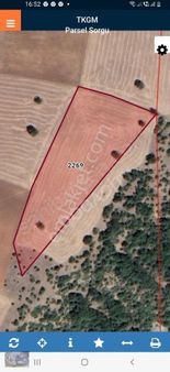 Doğacity Den Satılık Tepebaşı Calkara Mah 12870 M2 Tarla