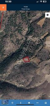 Doğacity Den Satılık Bilecik Söğüt Oluklu 4885 M2 Tarla