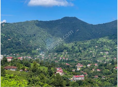 Artvin Arhavi'de Denize 10km(16dk) 408m² İmarlı Köyiçi