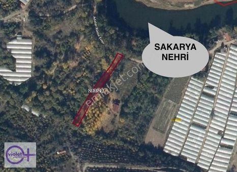 Violetten Bilecik İnhisar Satılık 1.027 M2 Tarla/bahçe