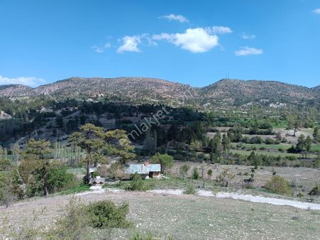 🦋lobby Fortis'ten Satılık Çameli Çamlıbel'de Asfalt Yola Yakın 812 M² Tarla🦋