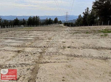 Pegasus'tan Çukurova Esentepe Mh.nde Hobi Bahçesi