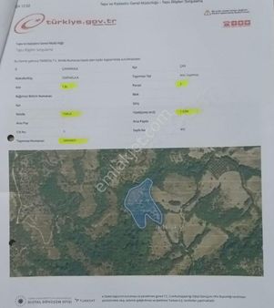 Çan Eskiyayla Mevkii Tarla