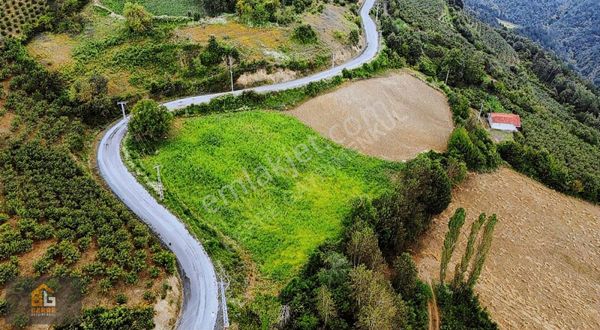Ayvacık Çökekli Mahallesinde Uygun Tarla
