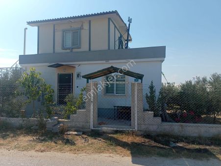 Satlık Tarla Tek Tapu Mandırlar Aksu / Antalya