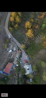 Satılık Fındık Bahcesi