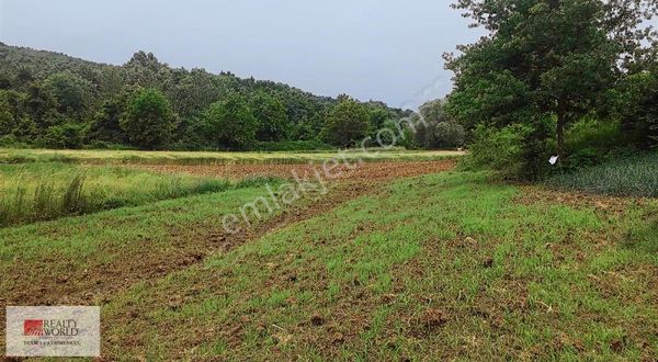 ***izmit Emirhan Köyünde Satılık Tarla***