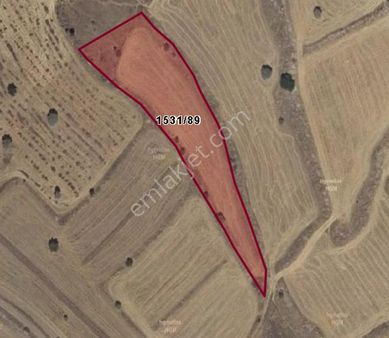 İncesu Hamurcu'da Yatırımlık 4900 M2 Tarla