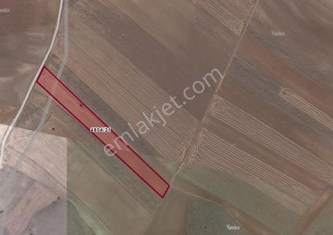 Yukarıçağlan Mahallesin’de Satılık 11 Dönüm Tarla