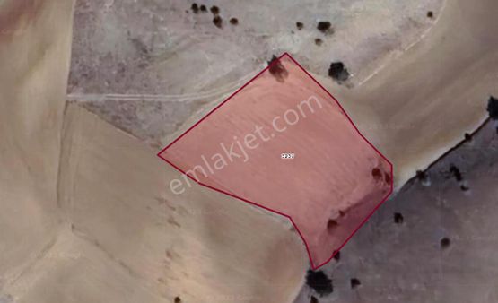 Söğüt Oluklu Mahallesin’de Satılık Tarla