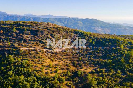 Alanya Gözübüyük'te Satılık 5.691 M² Tarla