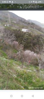 Tire Kaplan Mah Satılık Arazi