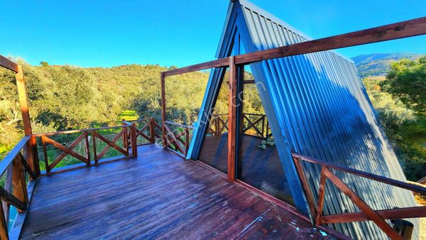 Acil Satılık! Dutluca’da Körfez Manzaralı 9 Dönüm Mülk, Bungalov, Müştemilat Ve 150 Zeytin Ağacı