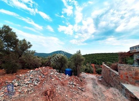 Bodrum Çilek Köyü Acil Satılık 480 M2 Kooperatif Hissesi