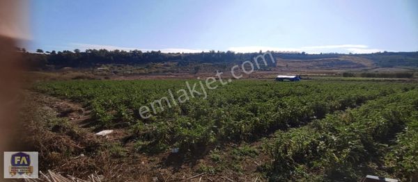 Fa Emlaktan Çavak'ta 4650m2 Satılık Arsa