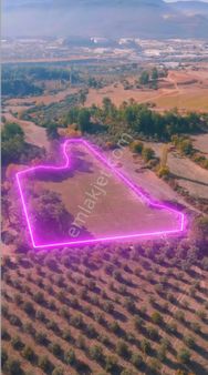 Muğla Menteşe Bayır Mahallesi Avm’ye 3 Km Tarla