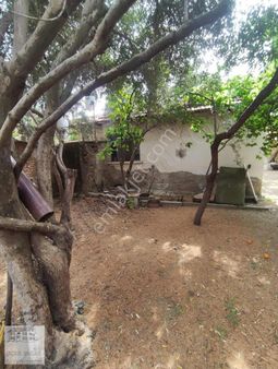 Aşağıçobanisa Da Satılık Ev Arsa