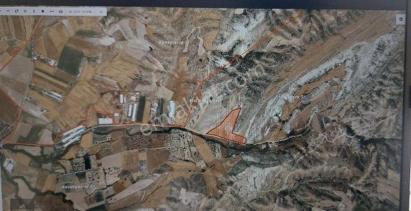 Ayaş Ortabereket Lansman Fıyat Hastürk Tarım Bahceleri/hobi Bahçeleri