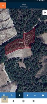 Bilecik Gölpazarı Karaağaç Köyünde M² Fiyatı En Uygun Tarla