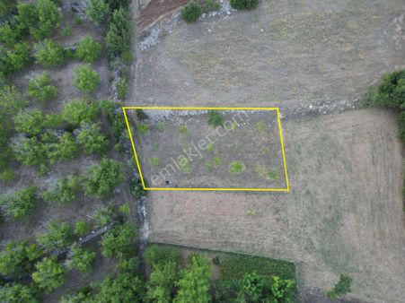 🦋lobby Fortis'ten Satılık Çameli Belevi'de 600 M² Ceviz Bahçesi🦋