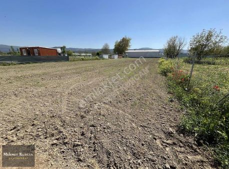 Mehmet Kurcan Gayrimenkul' Den Nilüfer Tahtalı'da Satılık 2304m2