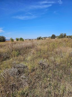 Bilecik Yenipazarda Uygun Arsa Tarla