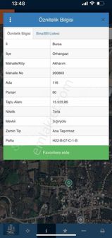 Bursa Orhangazi Akharem 16 Dönüm Göle Çok Yakın Zeytinlik