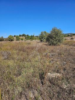 Bilecik Gölpazarı Cadde Üstü Arsa
