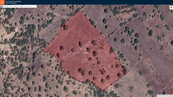 Doğacity Den Satılık Kargın Mah. 22.201 M2 Tarla